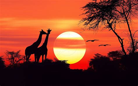 African Sunset Betano